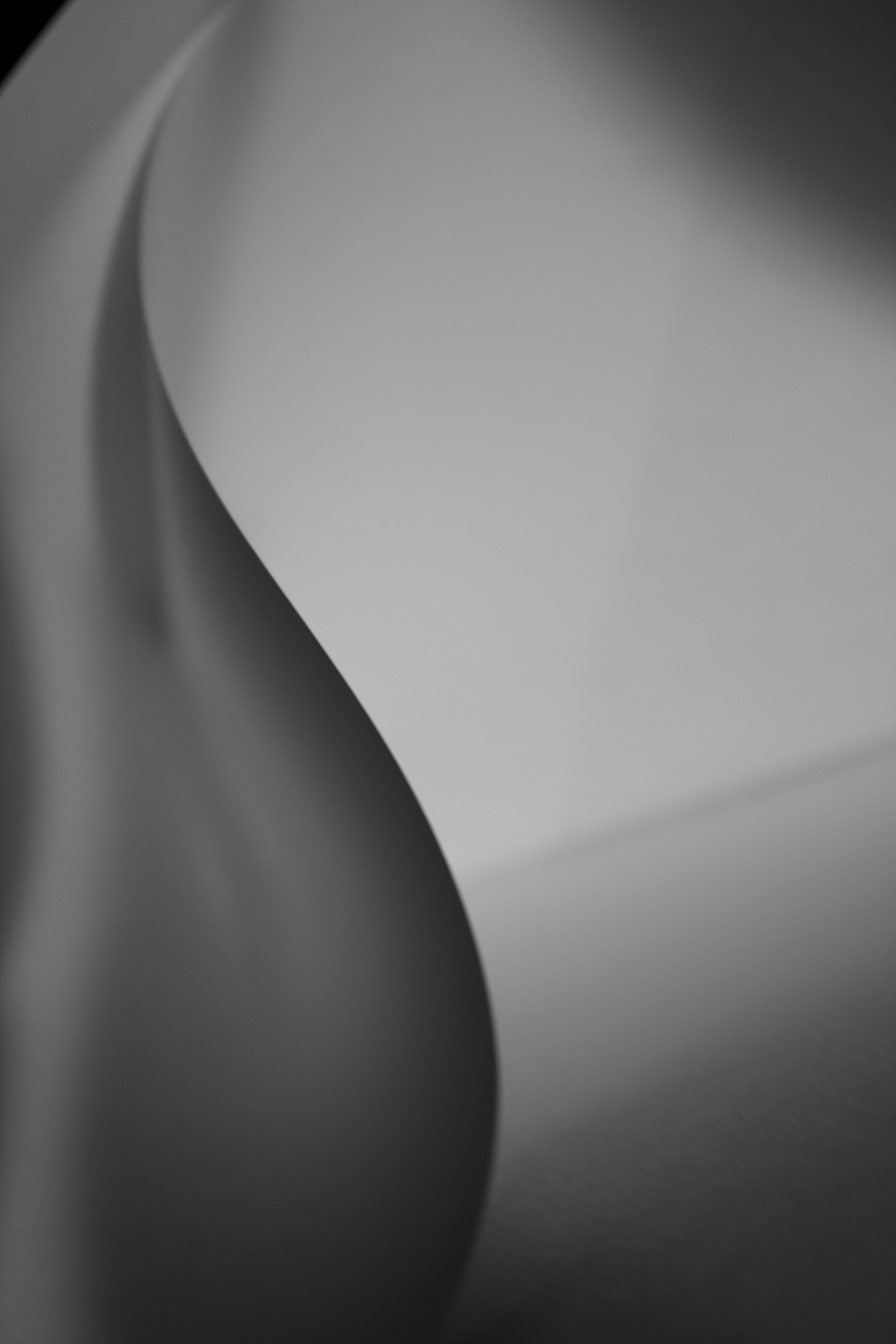 Sensual shadows...