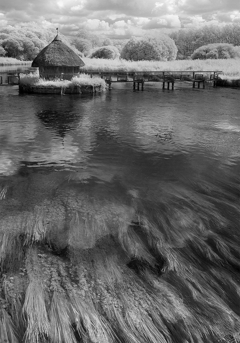 The River Test in Infrared...