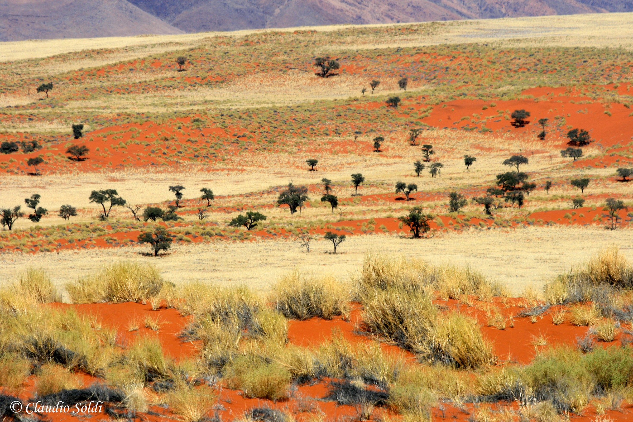 Namib Rand Nature Reserve - Namibia...