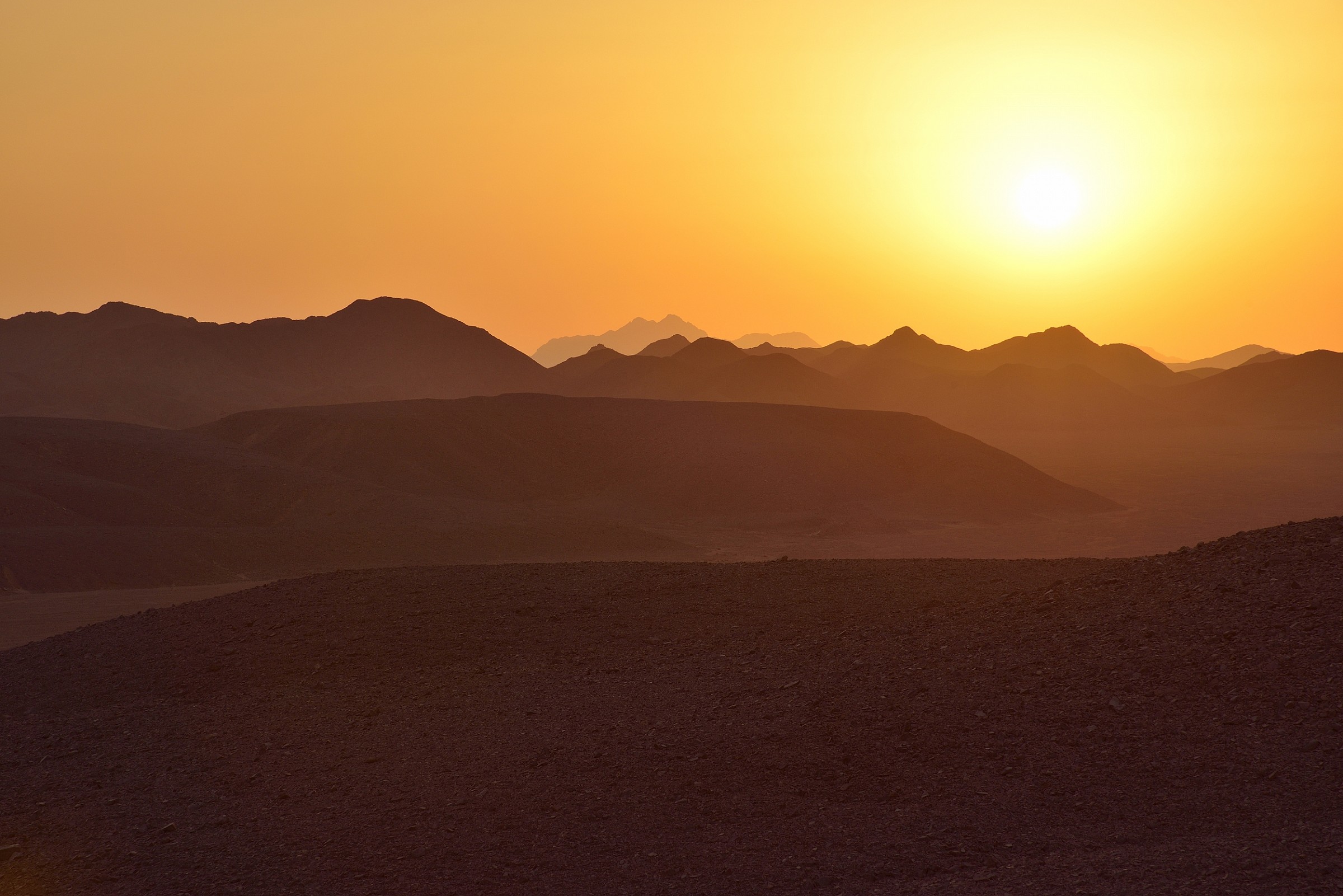 desert...