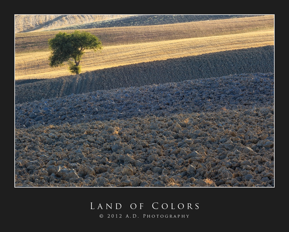 Land of Colors 2...