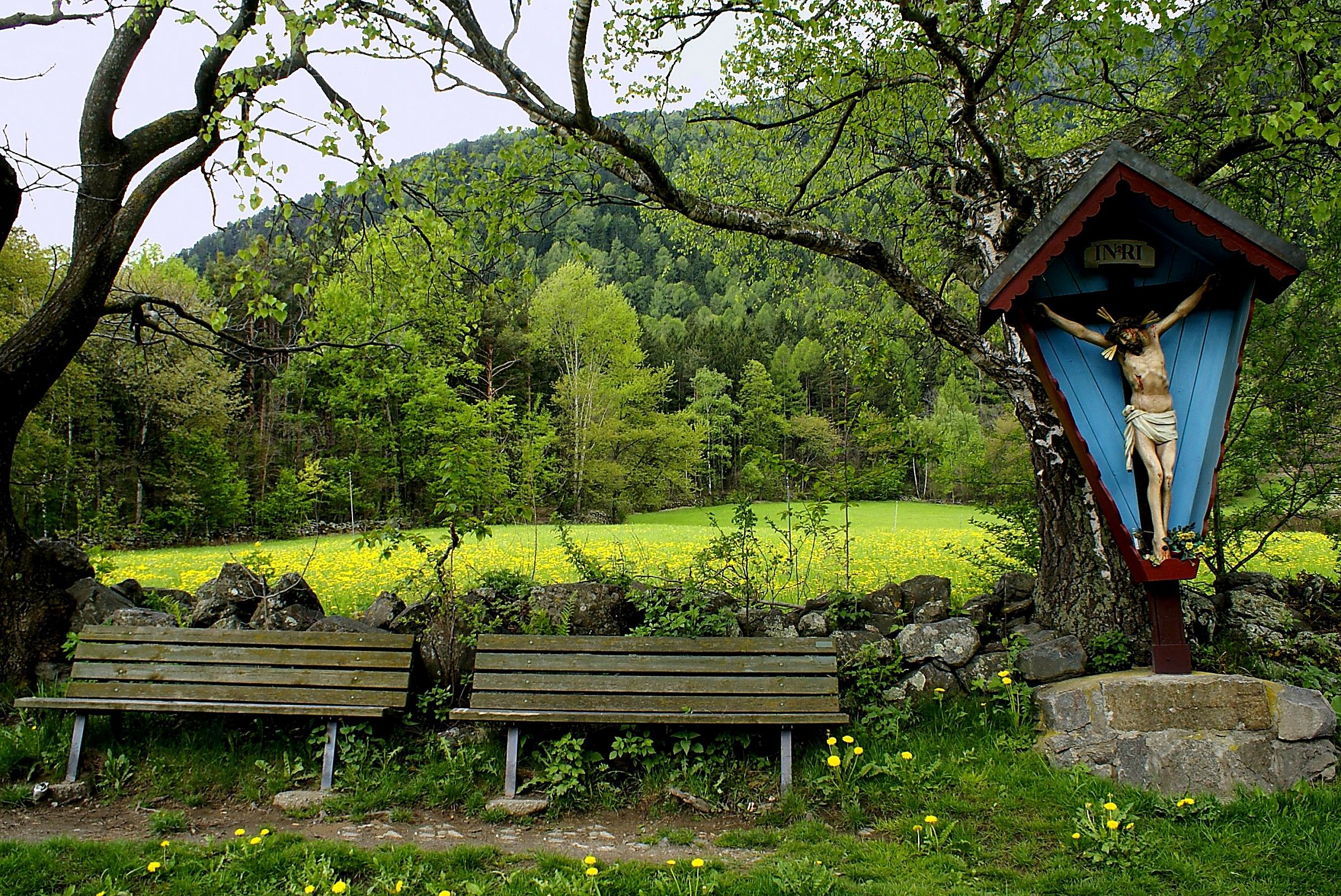 Due per riposare - laghetto di Varna-Brixen ( BZ )...