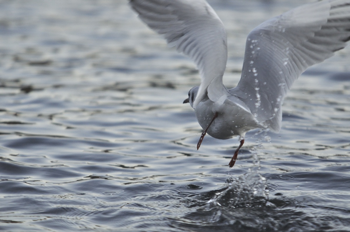 passing water...