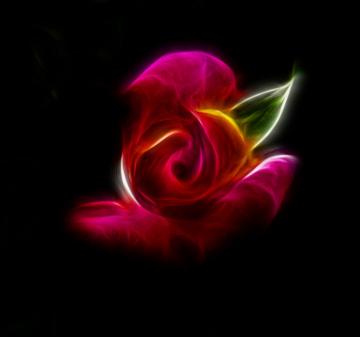 Rosa Art 3...