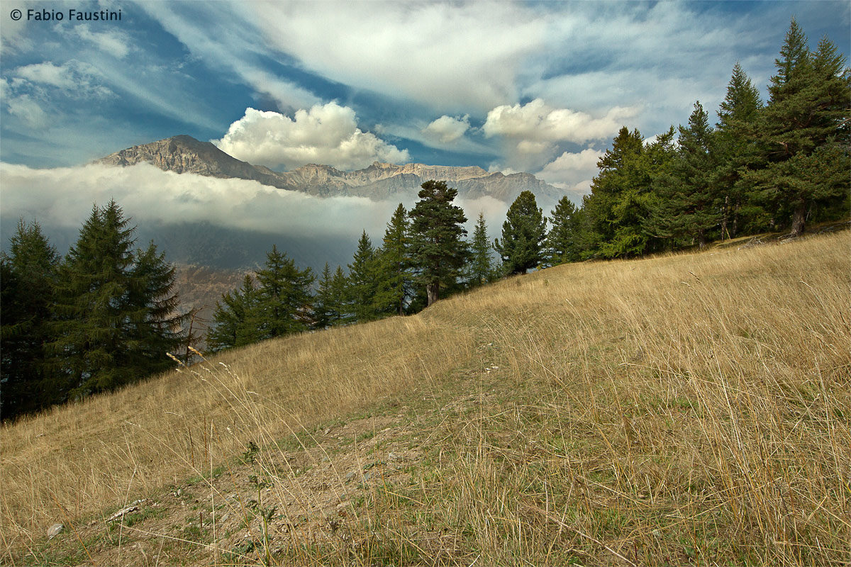 Gran Bosco di Salbertrand, view of Mount Seguret...