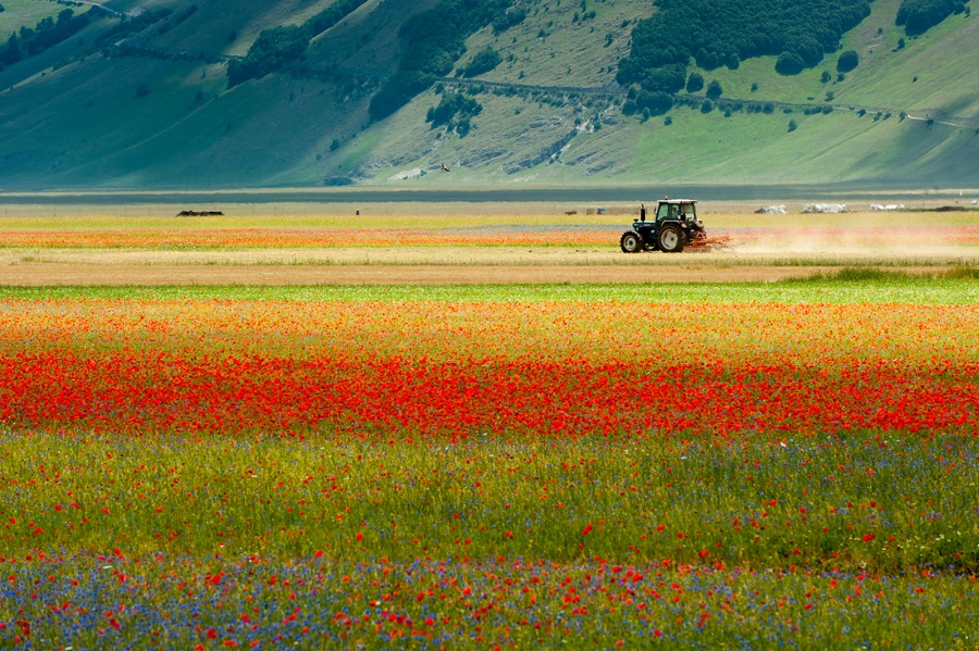 Castelluccio...
