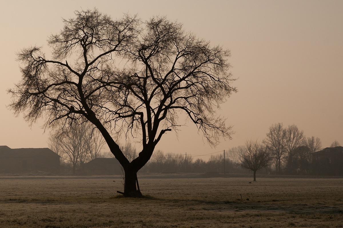 Low Emilian countryside...