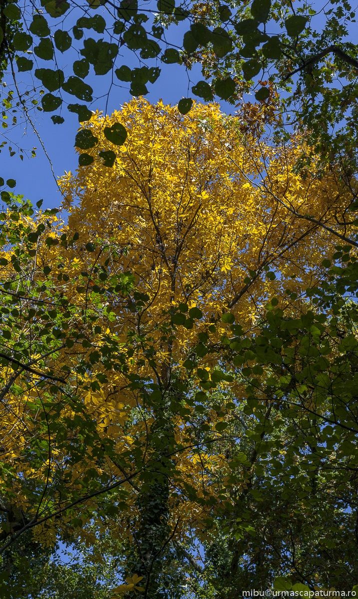 autunno 4...