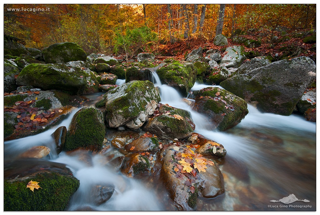 the stream in autumn...