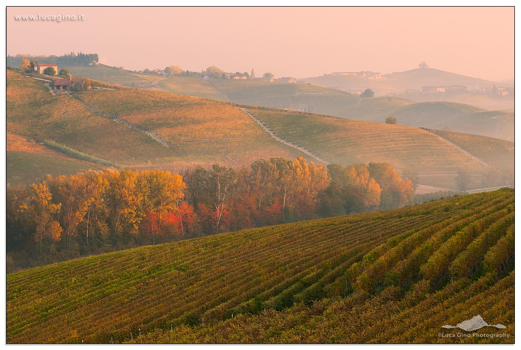 terre del barolo...