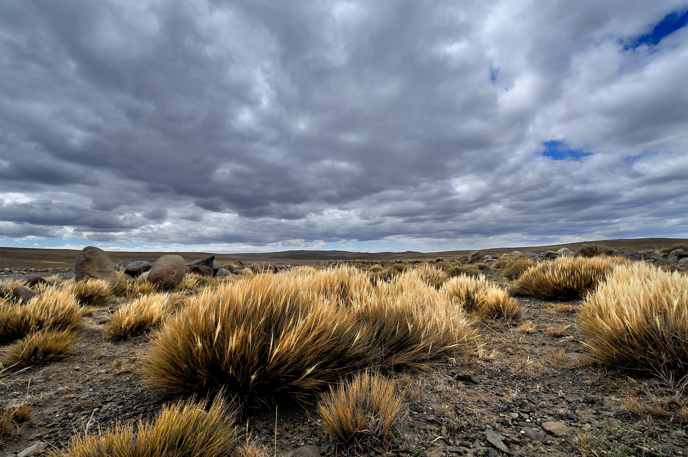 Patagonian steppe...