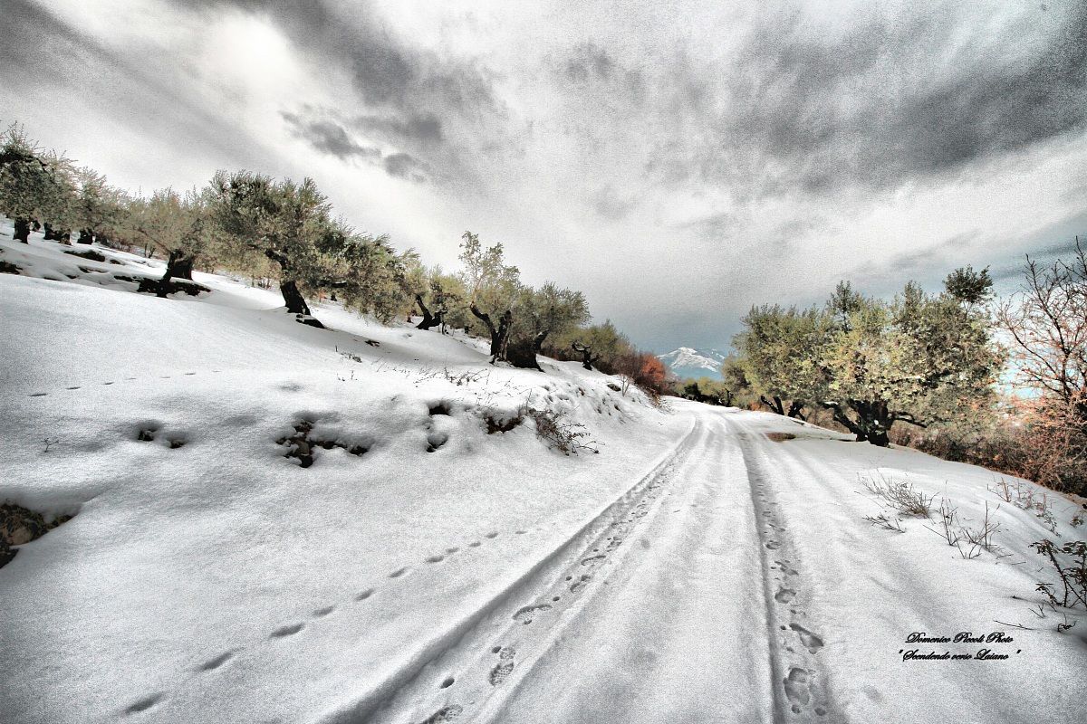 Nevicata del 2012...
