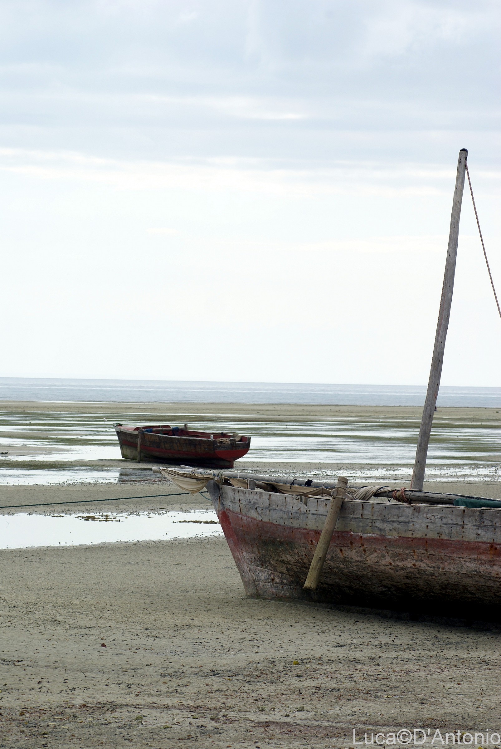 The Low Tide....