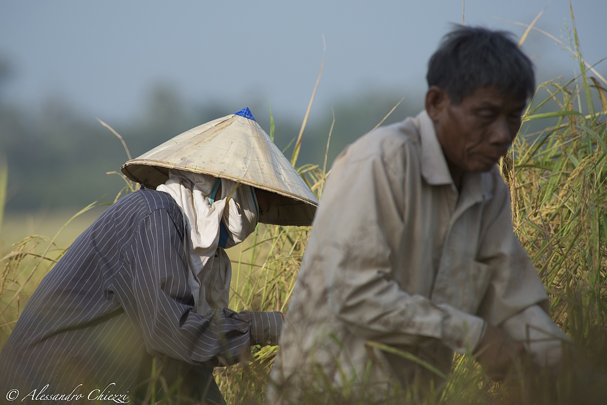 The farmers of Laos...