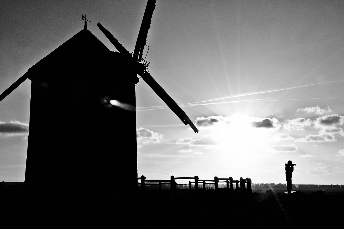 where Don Quixote?...