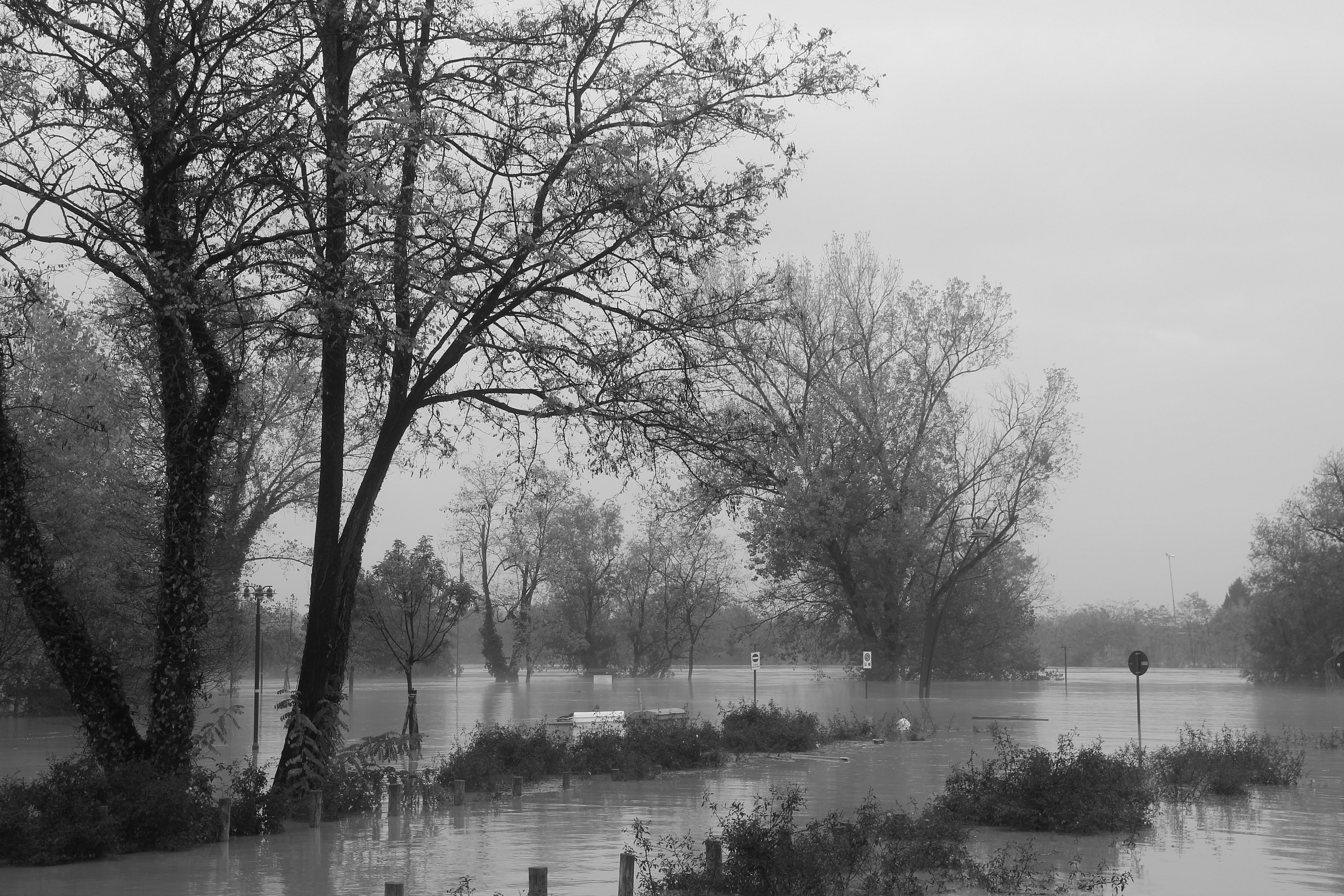 The Flood Plain of the Piave to San Dona...