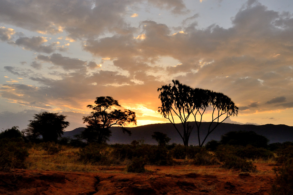 Sunset in Samburu National Park...