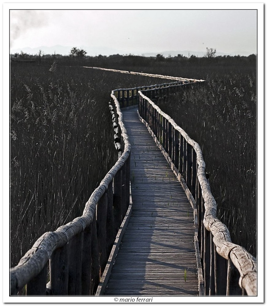 Passerella per Birdwaching...