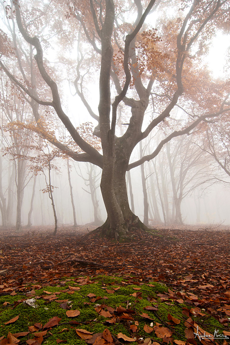 Autumn...