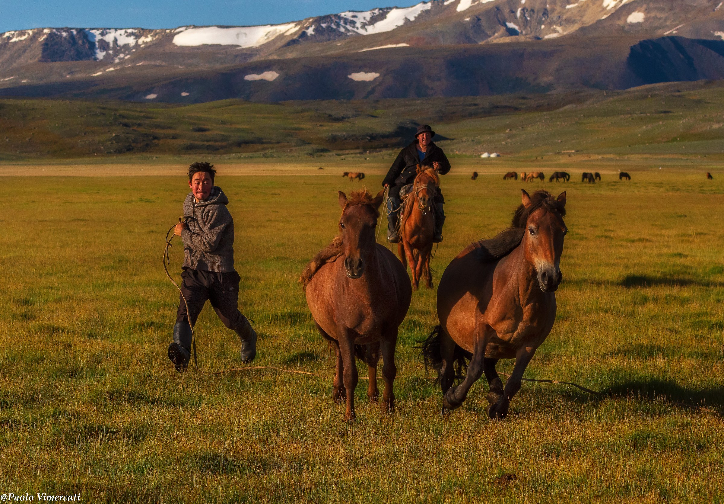 Kazakh herders, Mongolia...