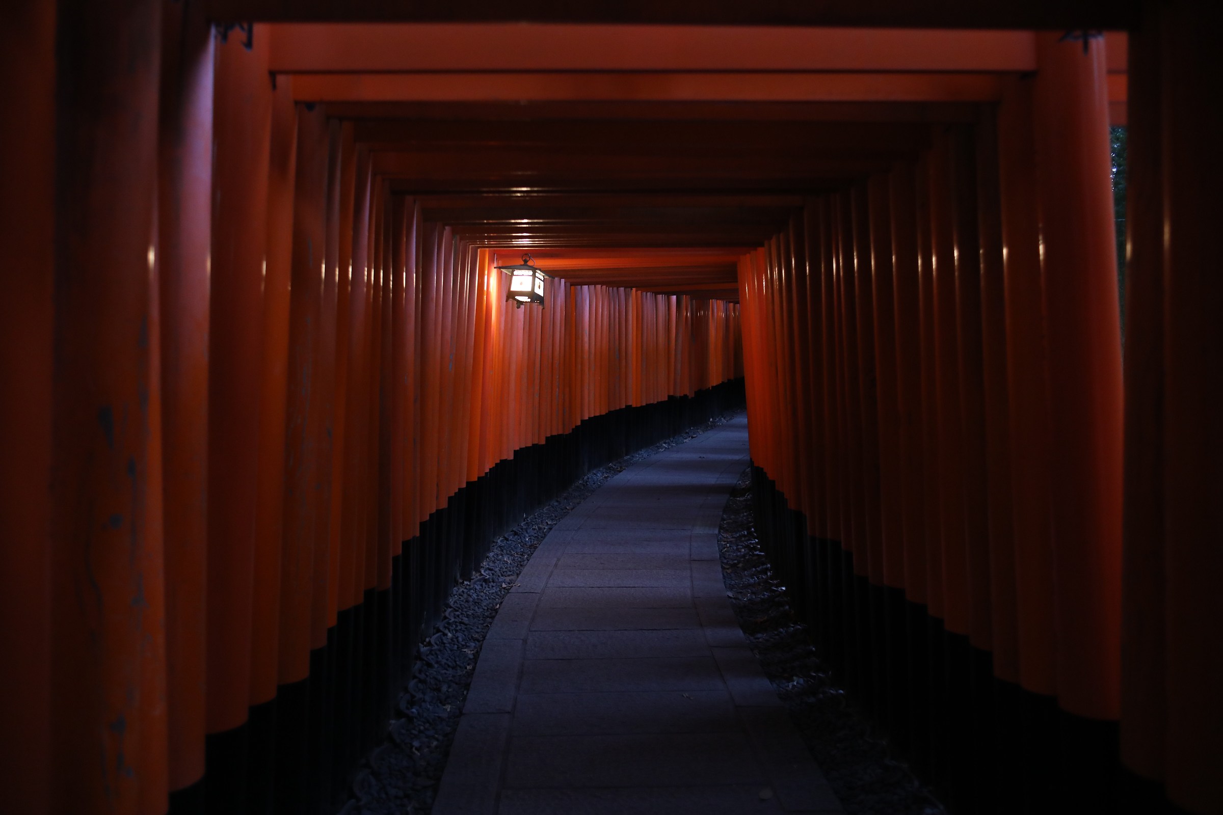 Fushimi Inari Taisha By night...