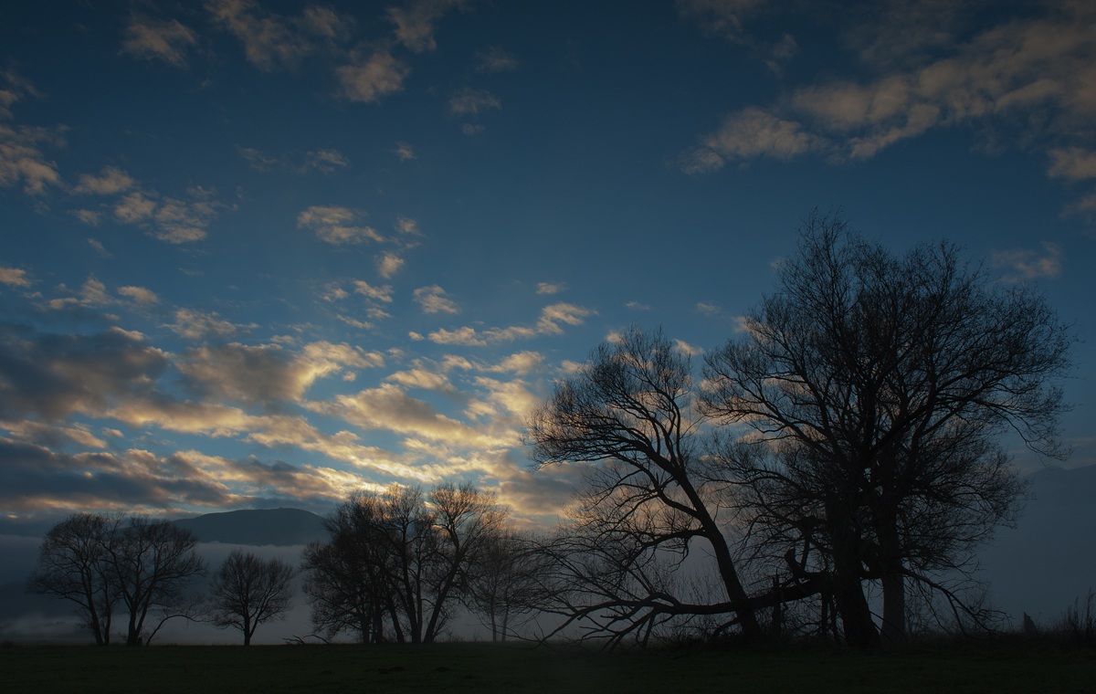 what remains of the day...