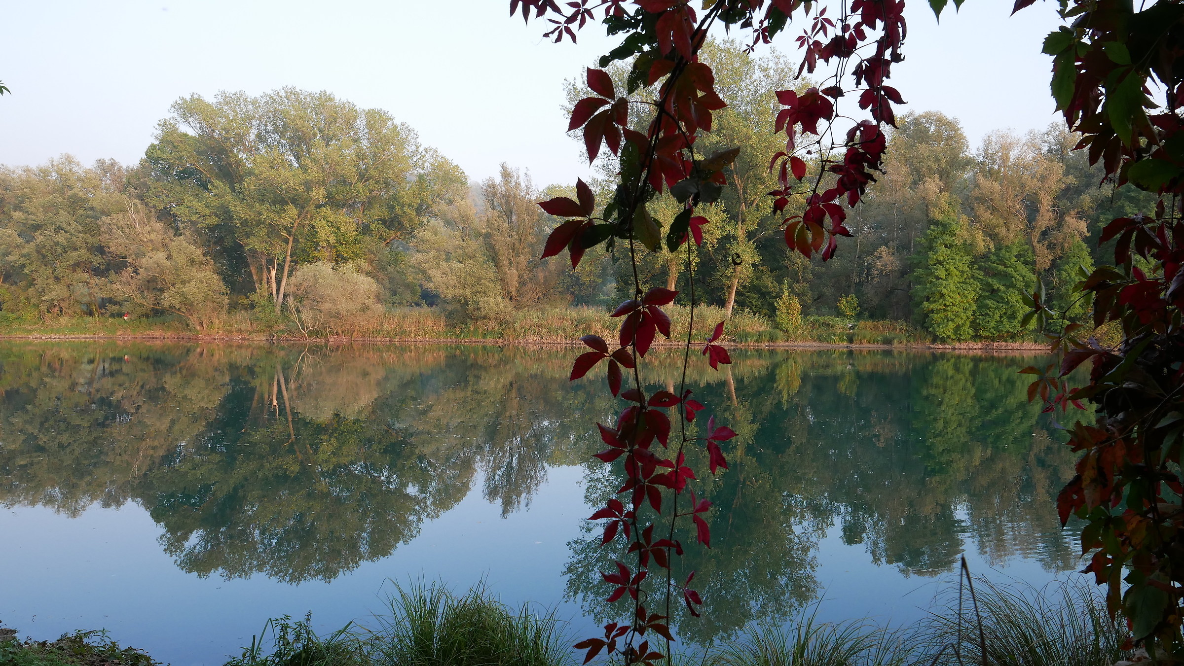 Adda, the first colors of autumn...