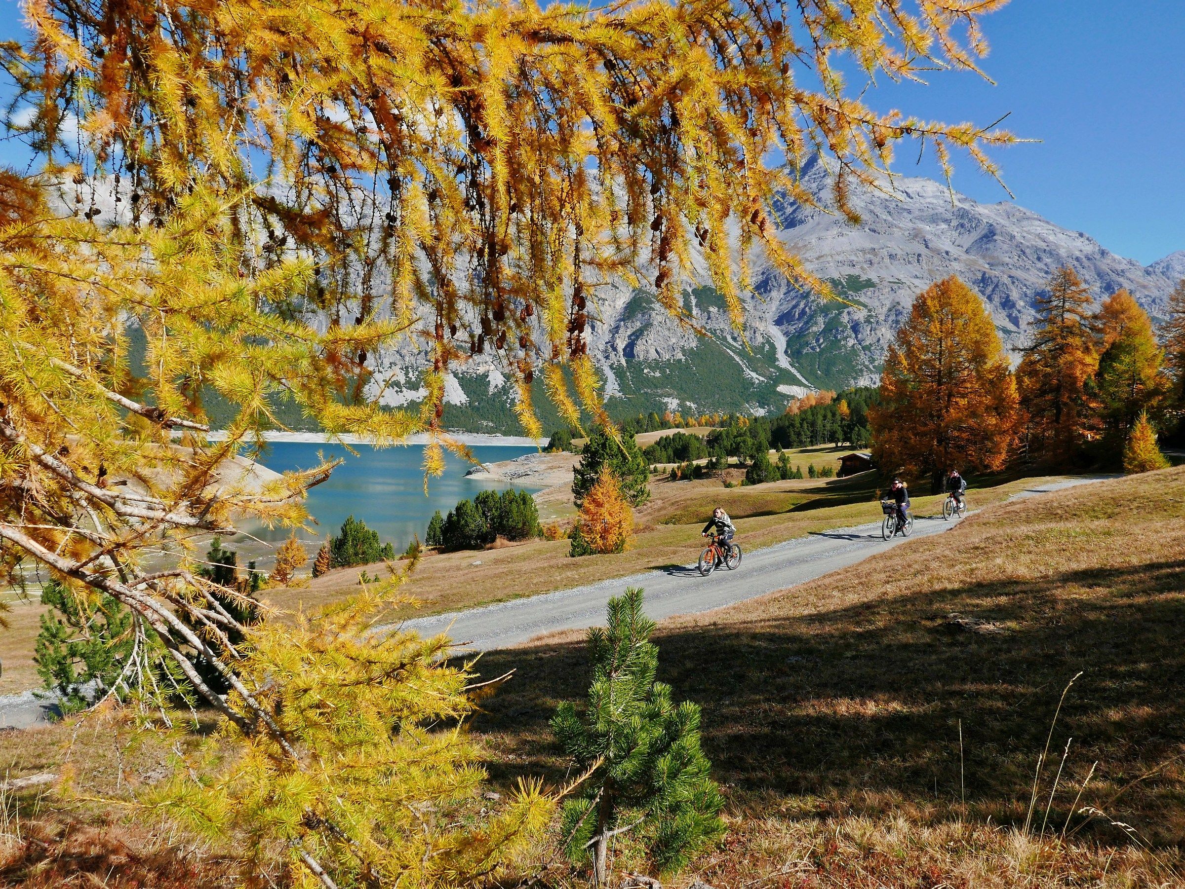 Cycling Autumn S. Giacomo...