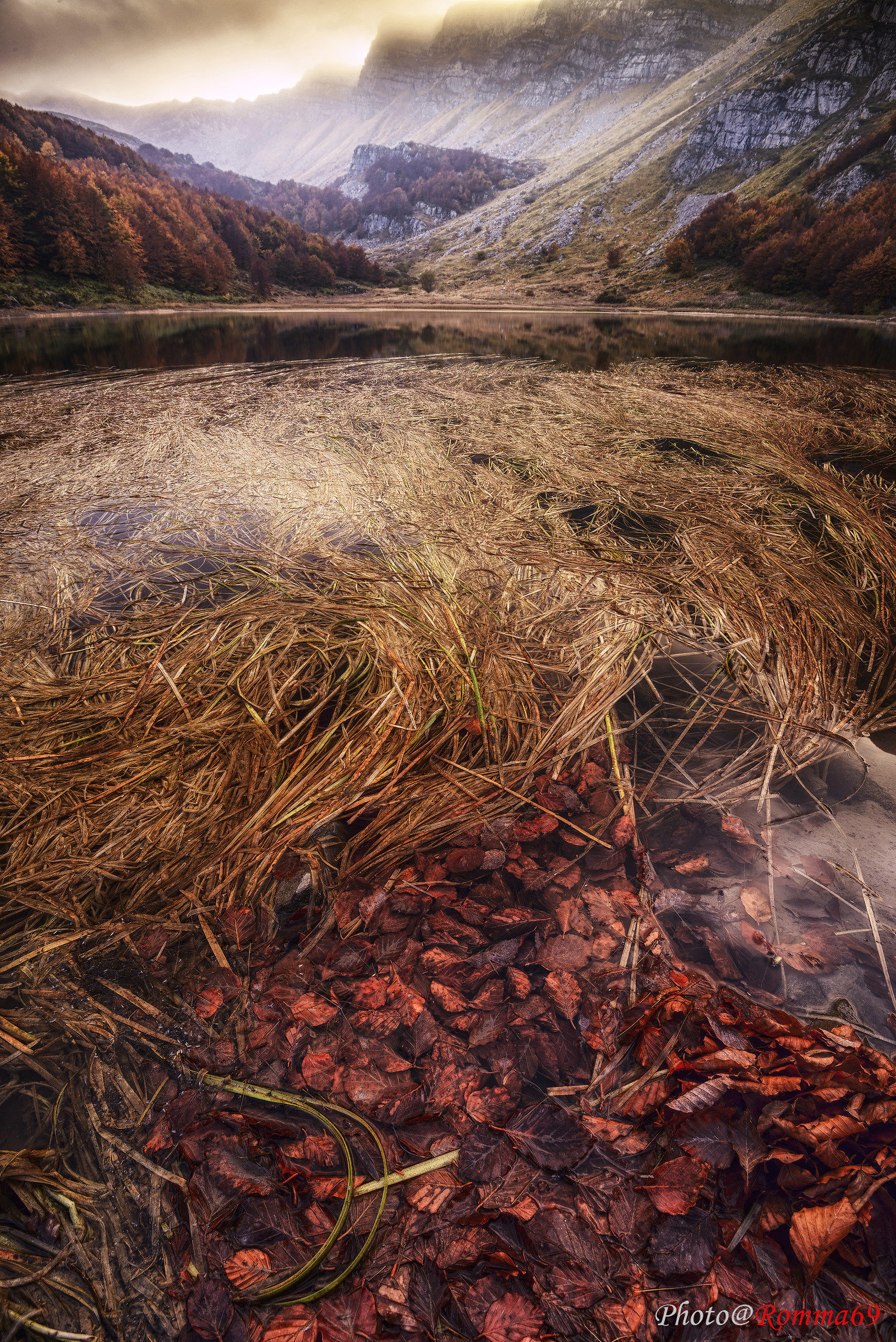 The leaves and the lake...