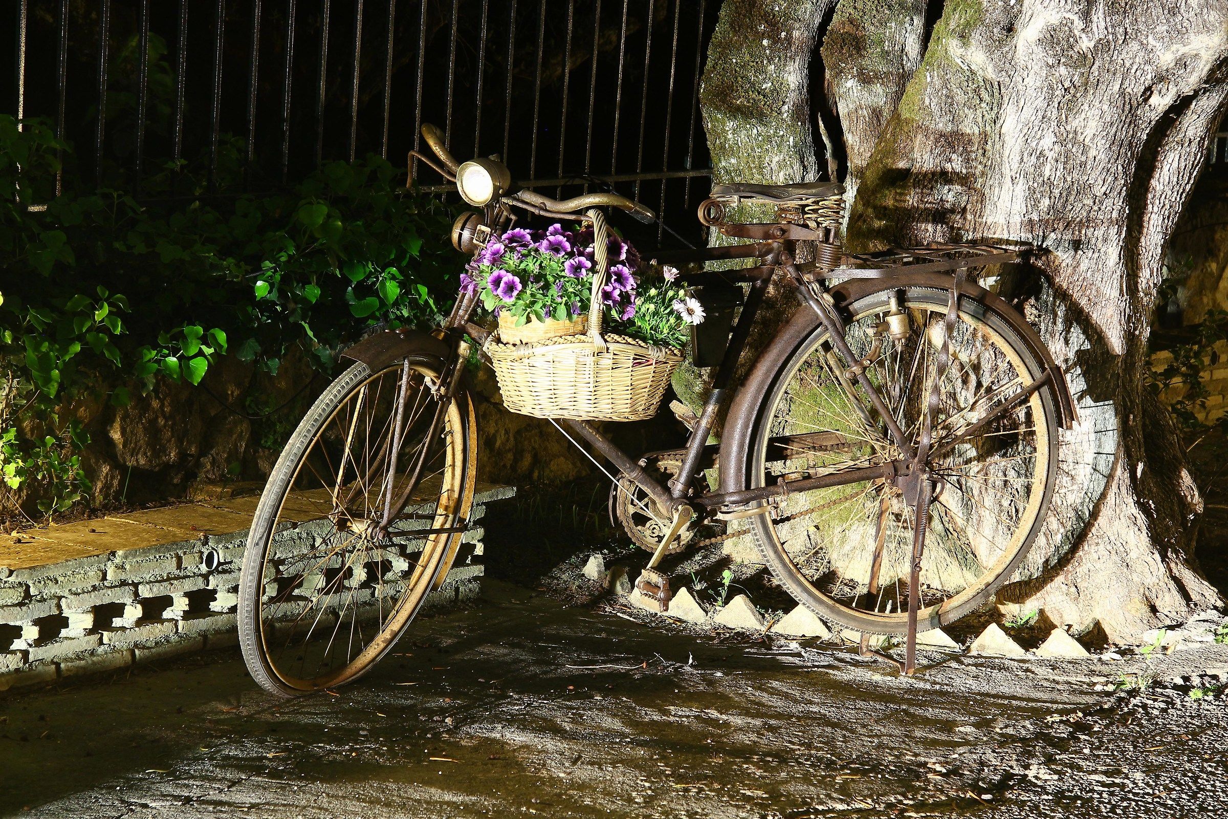 La bicicletta di notte...