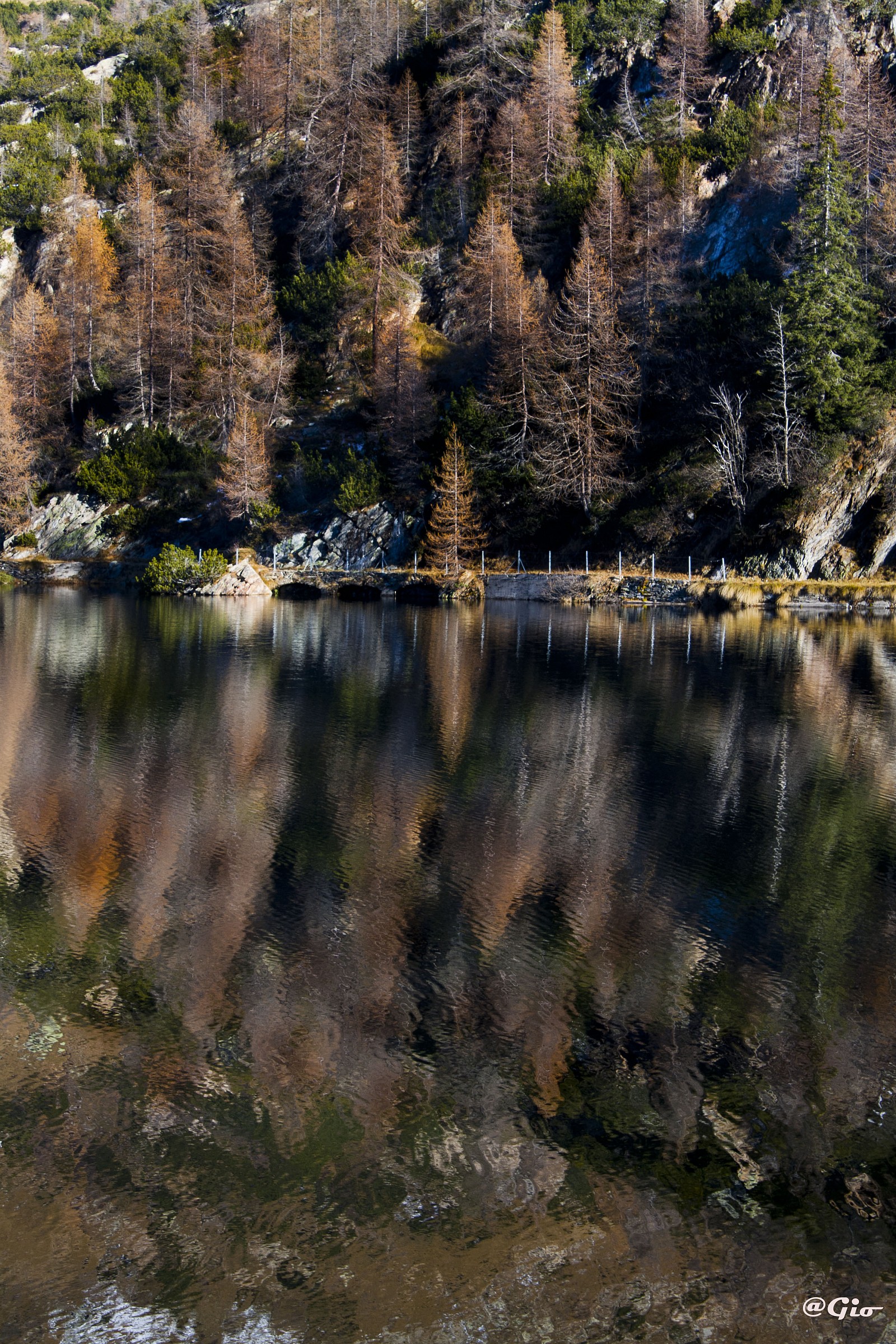The autumn lakes Gemini...