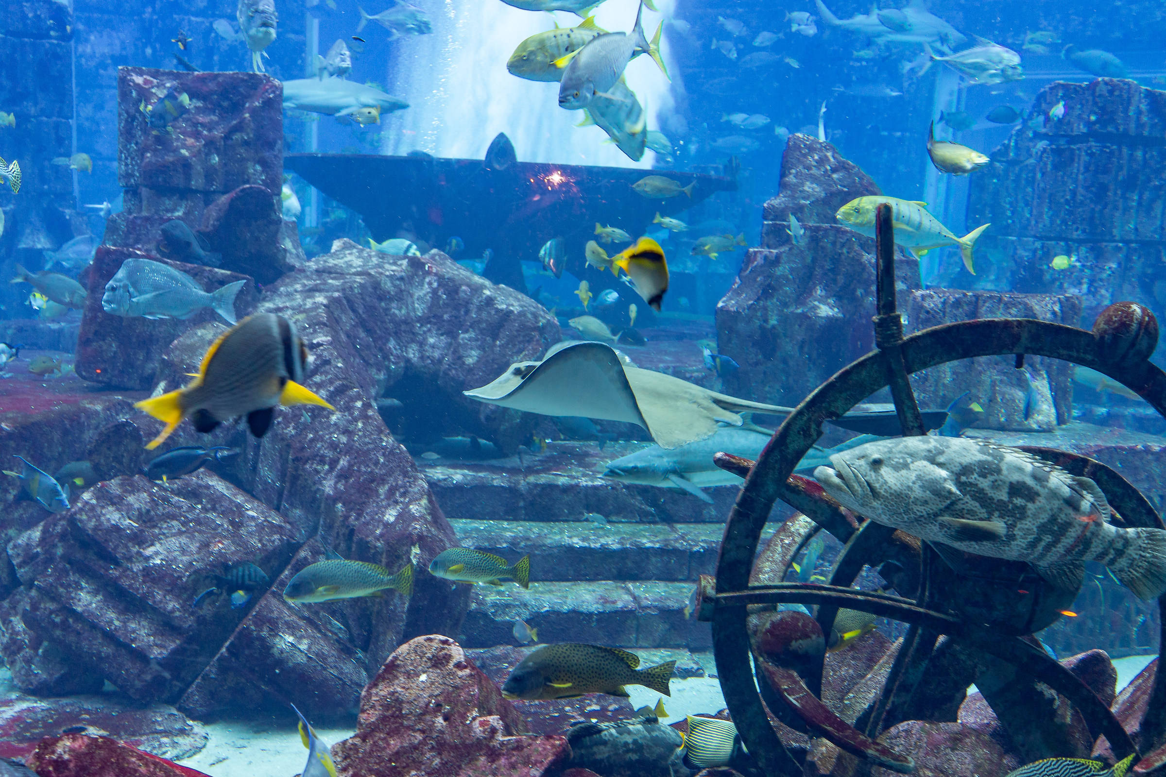 Aquarium Dubai...