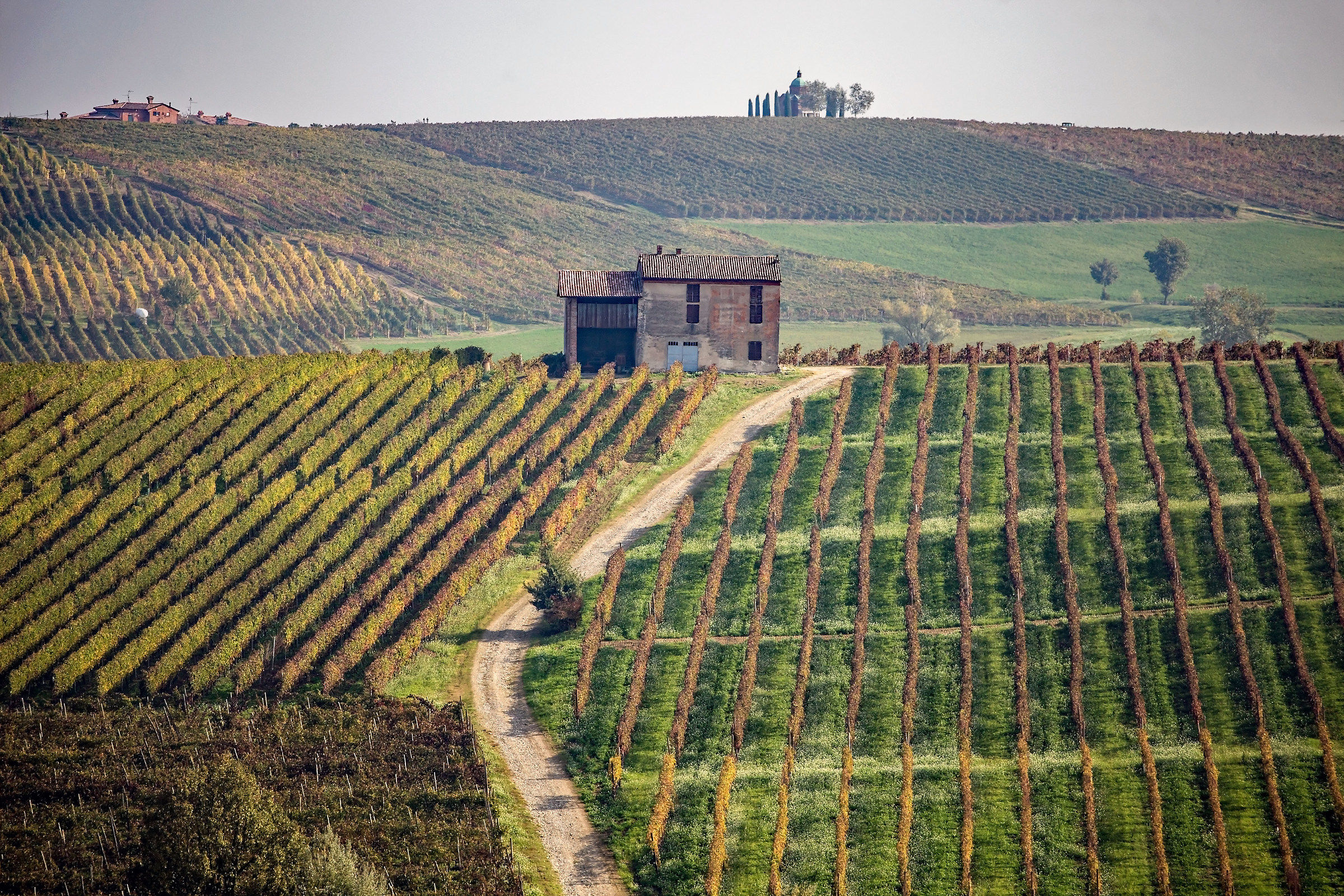 The house among the vineyards...