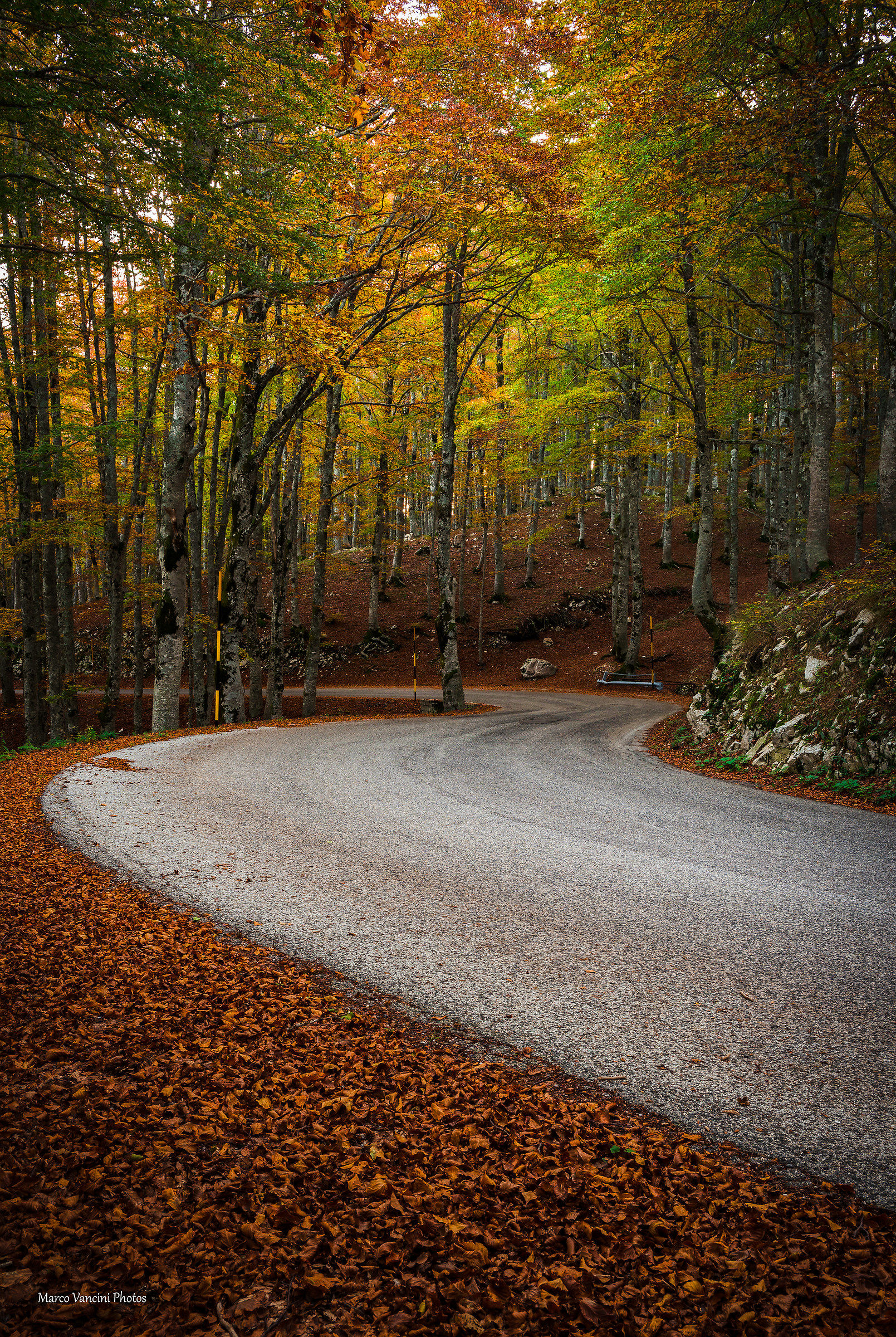 primi assaggi d'autunno...