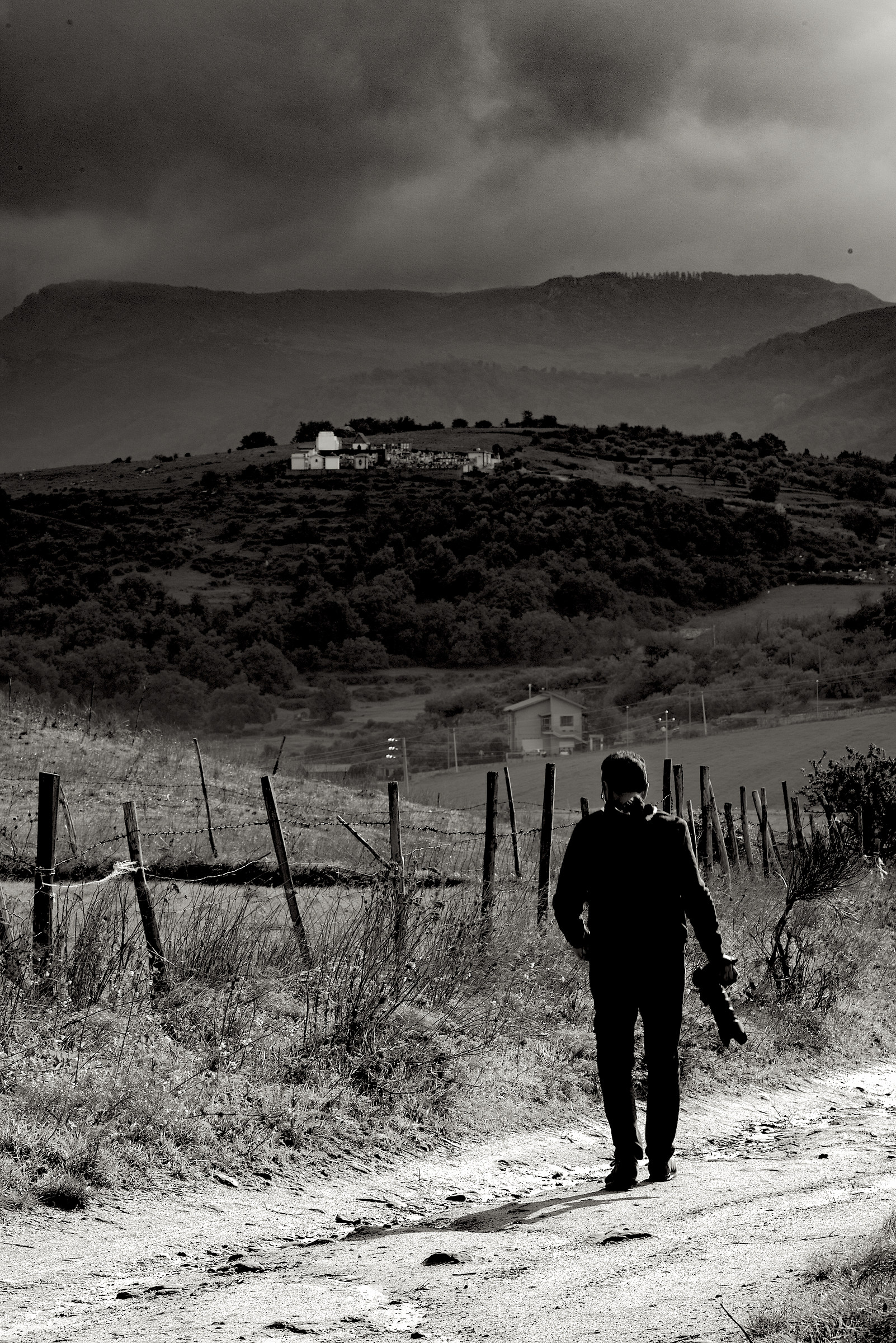 tra Tindari e Montalbano Elicona...