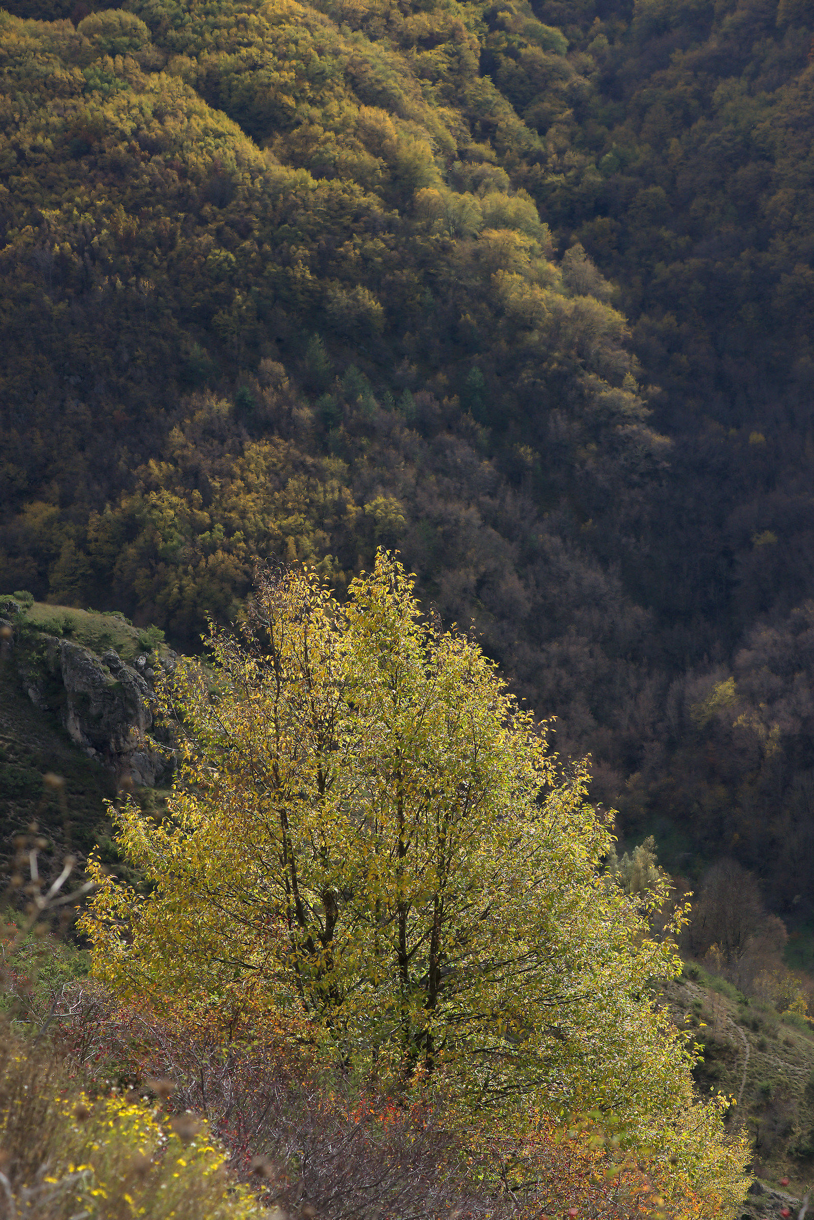 Parco del Gran Sasso e Monti della Laga...