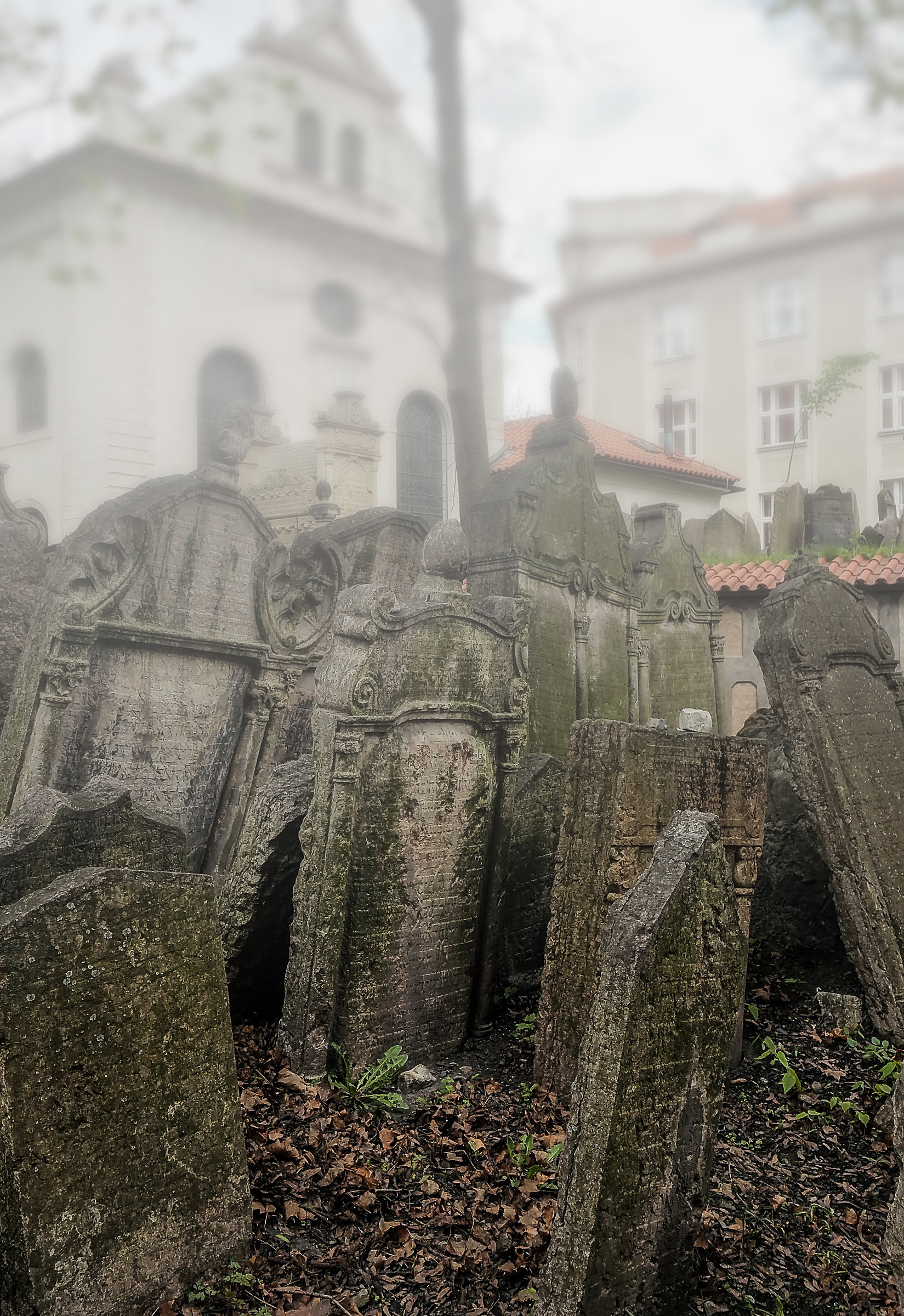 Prague Cemetery...