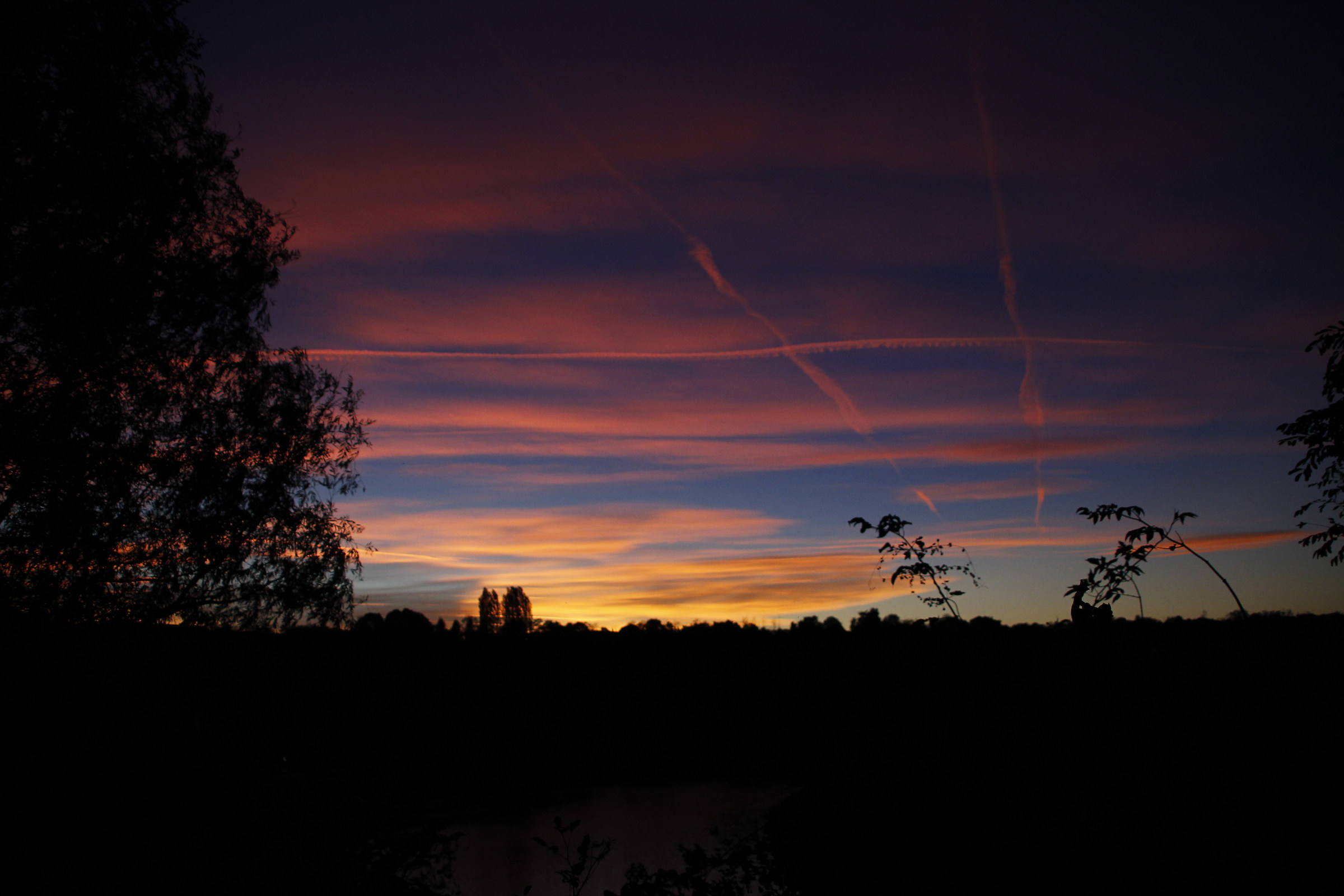 Scie...