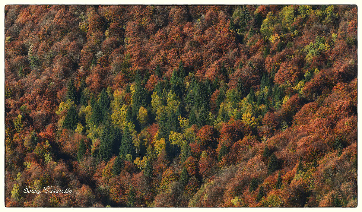 Colori d'Autunno...