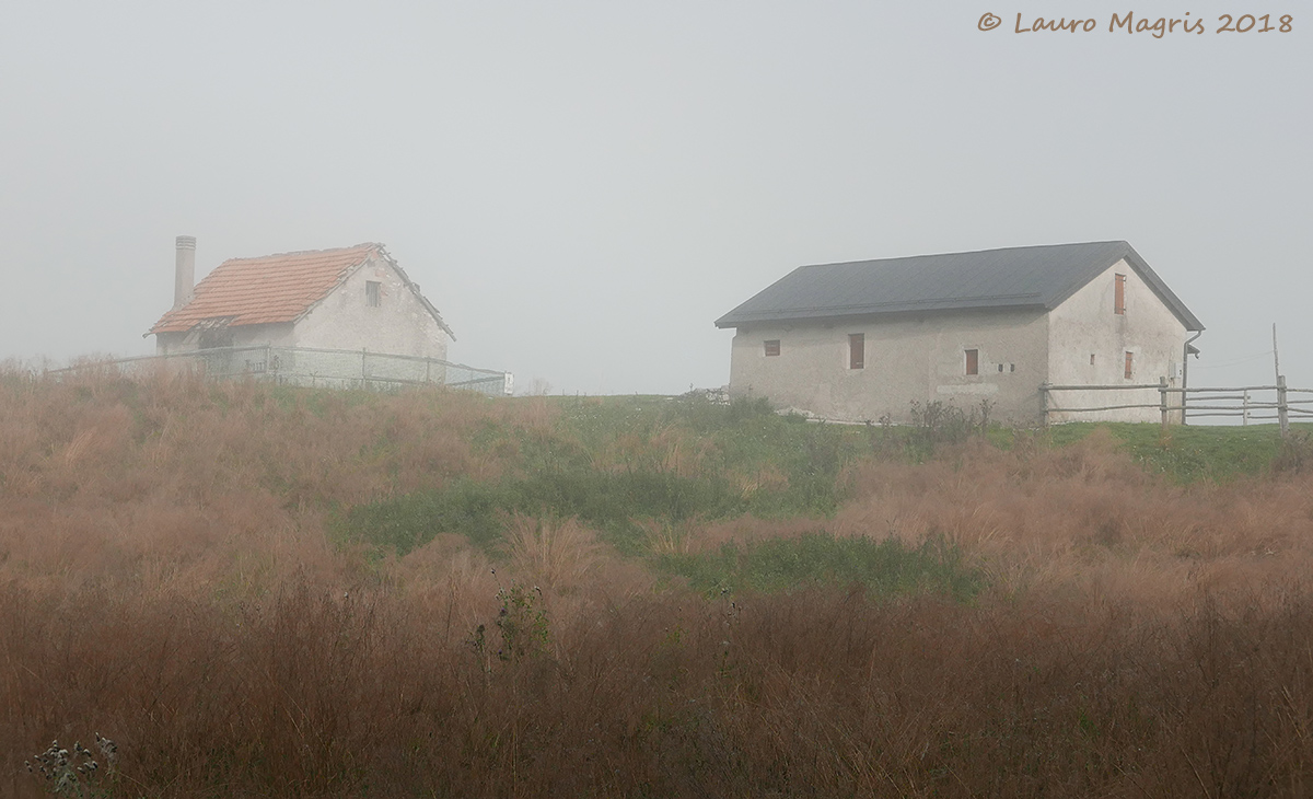 Cottages in the Fog...