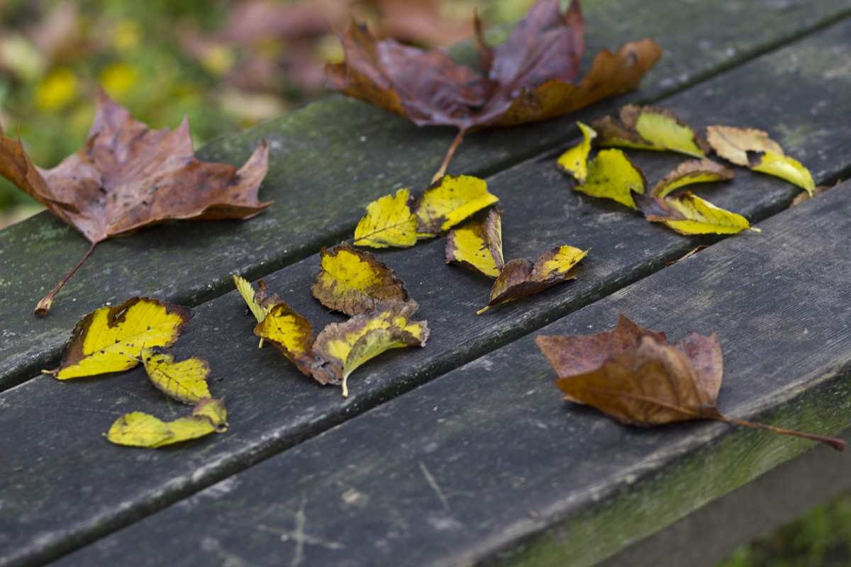 l'autunno su Juza...