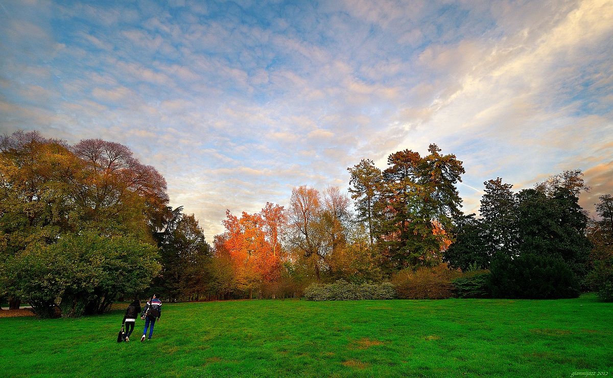 in the evening in the park (the sky above Milan)...