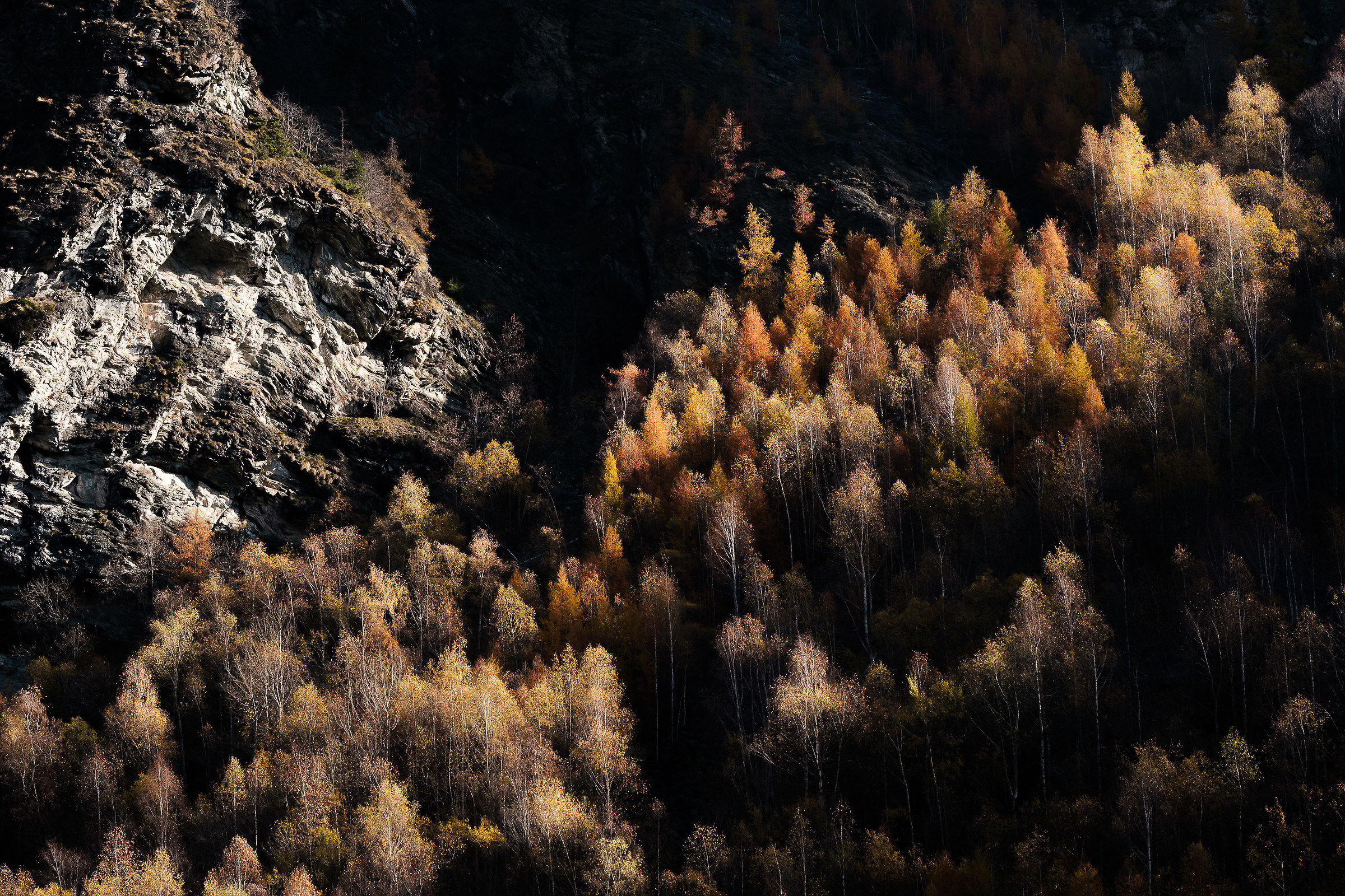Fantasia d'autunno montana...