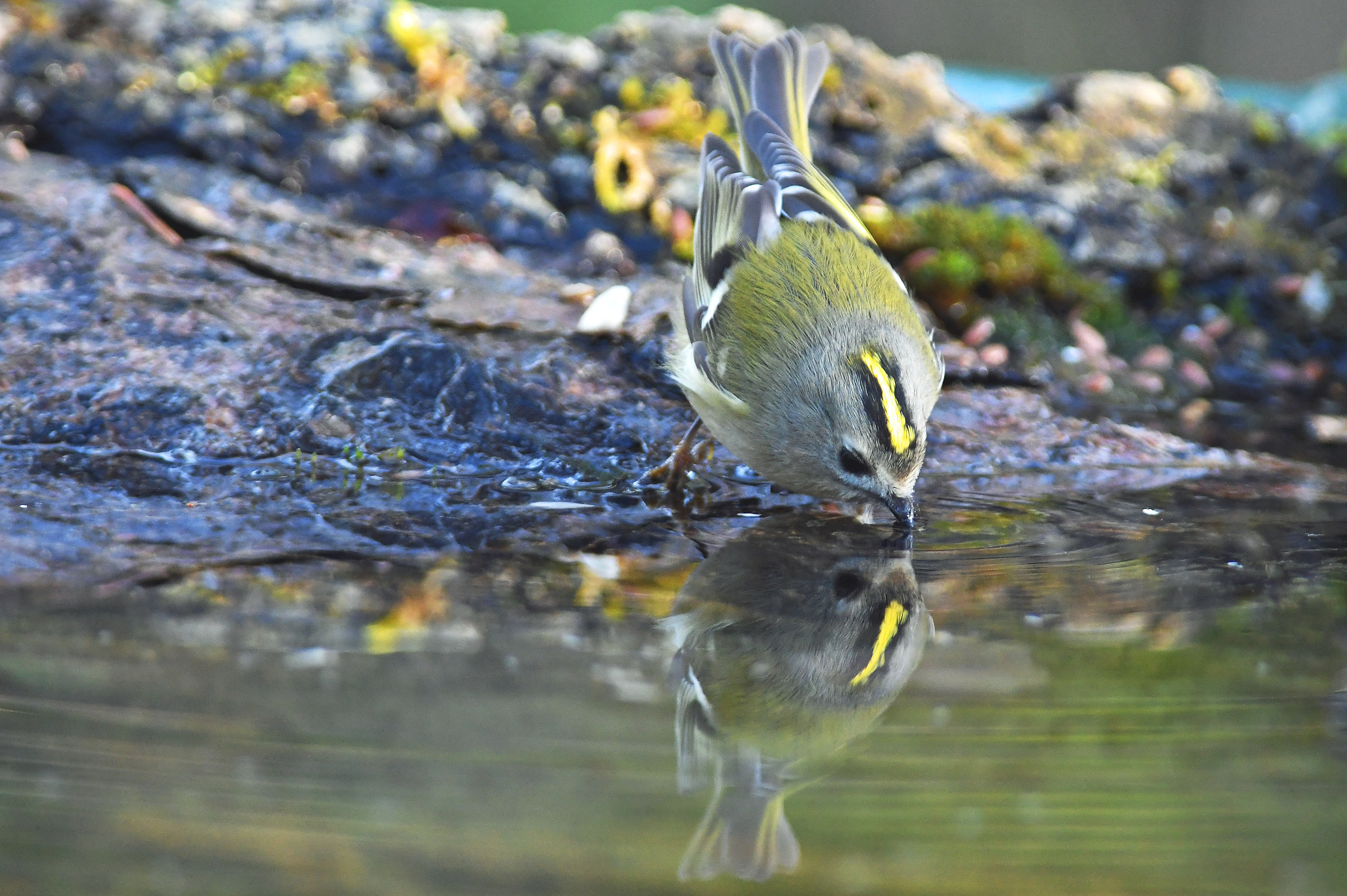 In the Mirror...