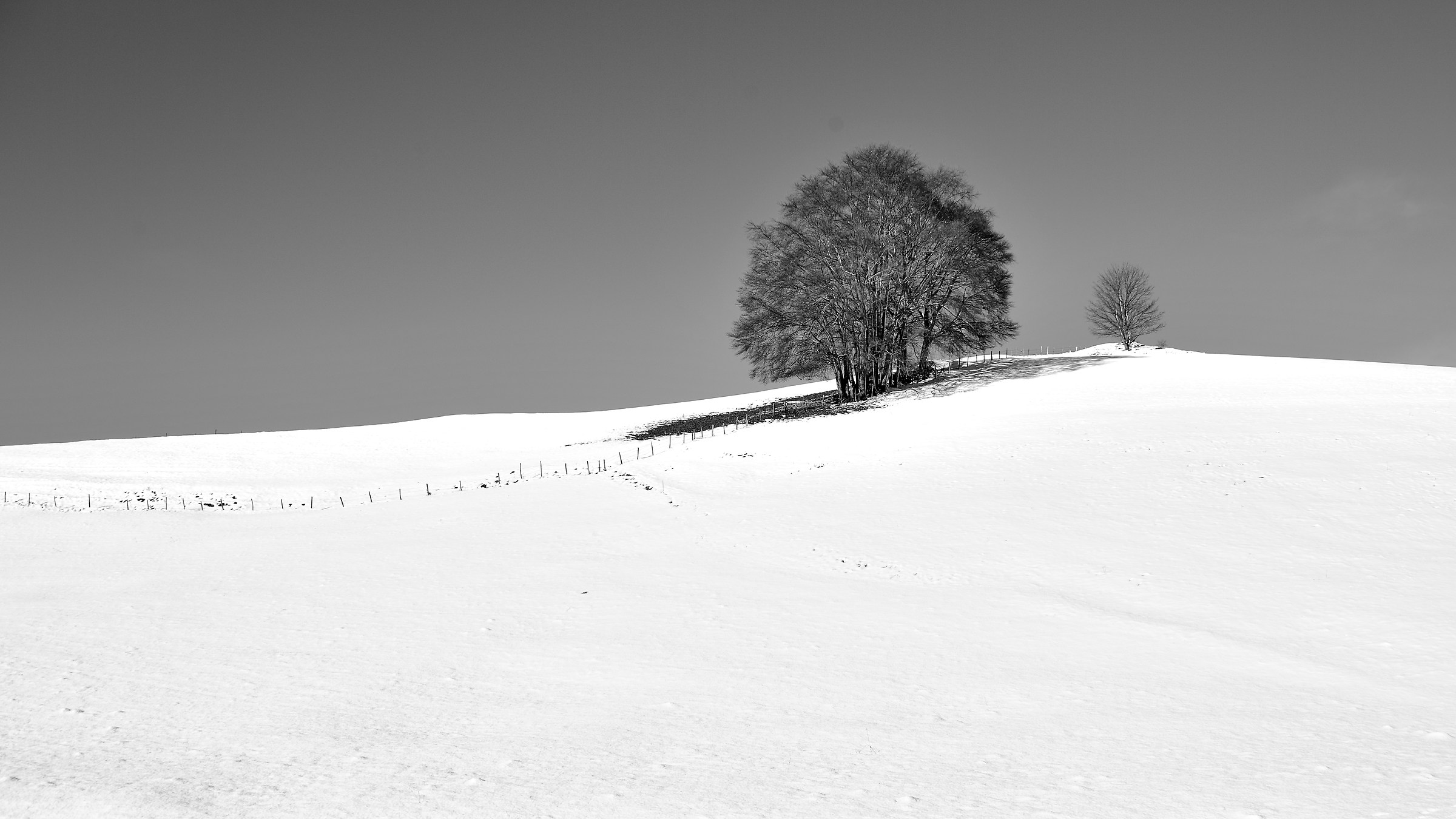 First Snow 18...