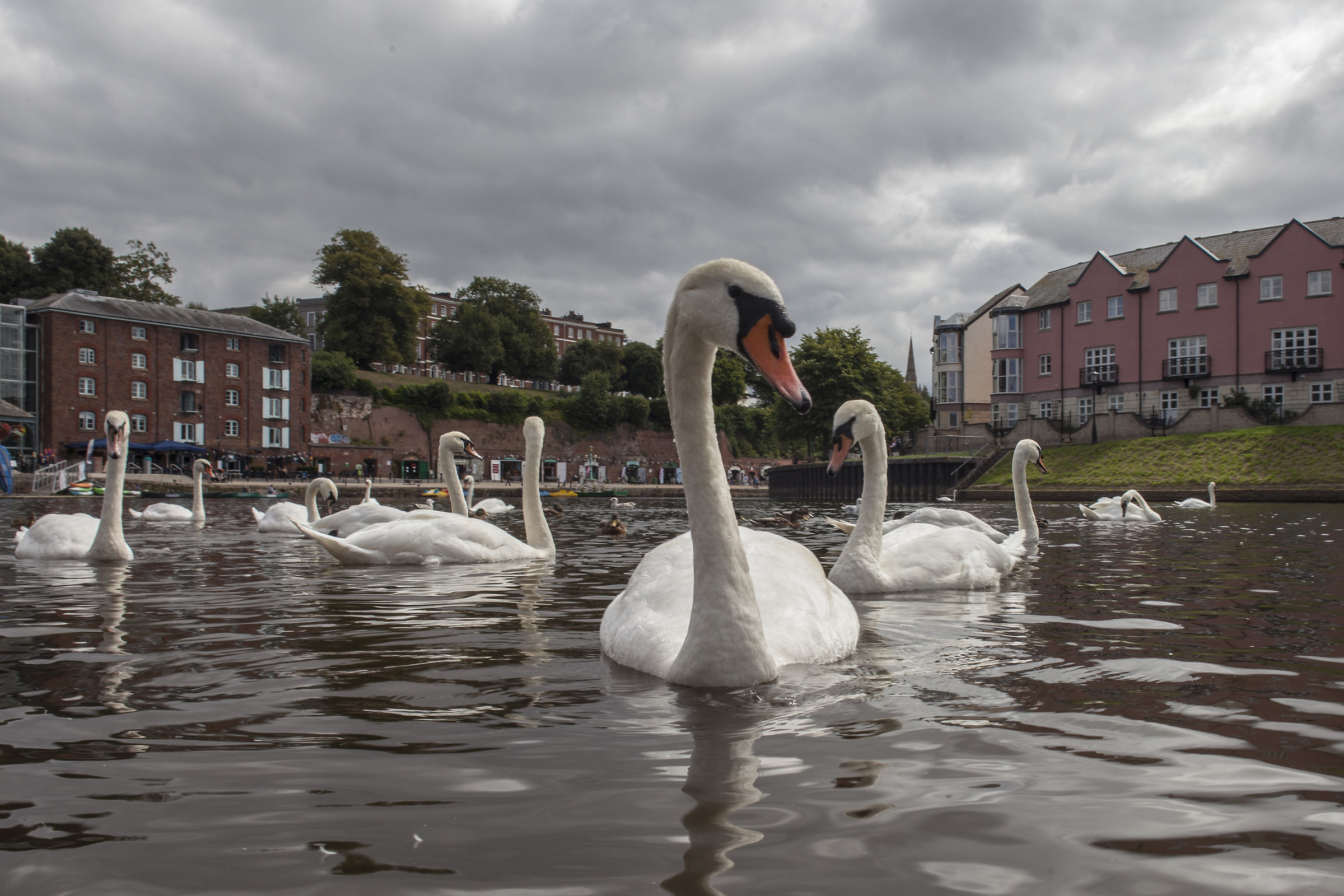 Face face, Exeter Quay...