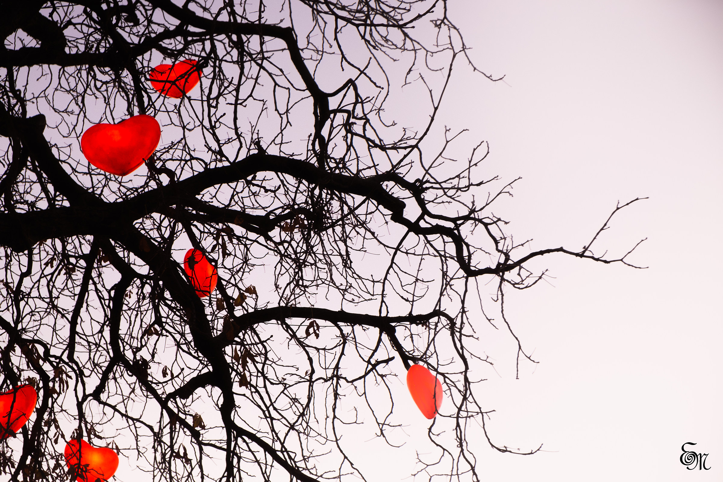 Suspended Hearts...
