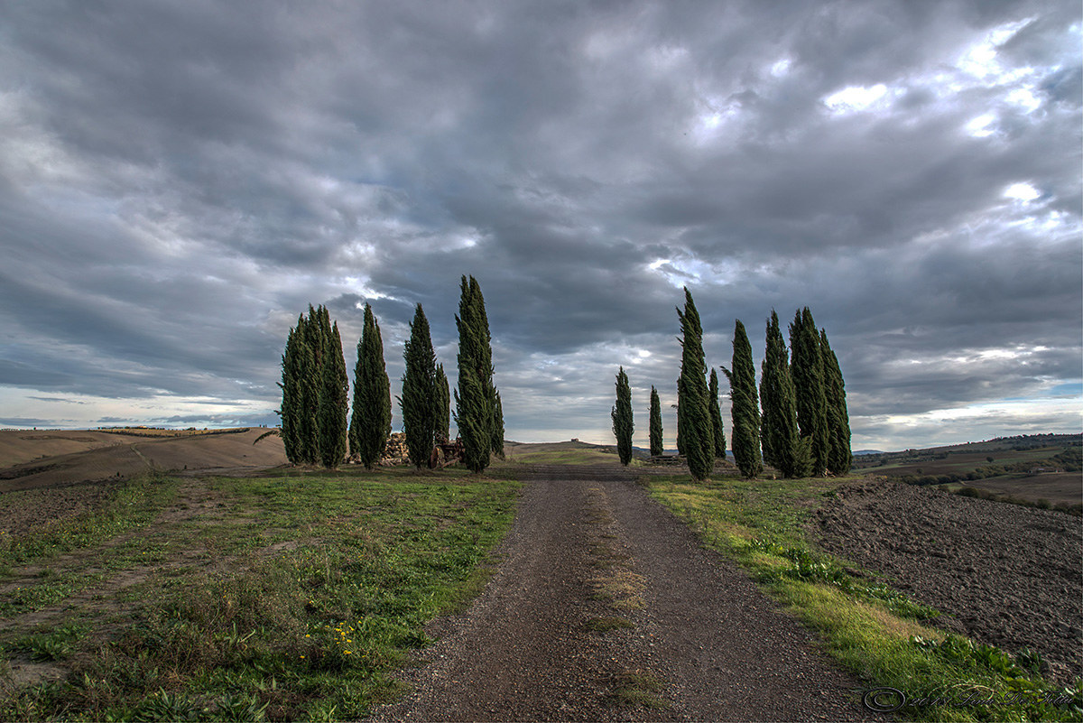 ... walking in the Val d'orcia......