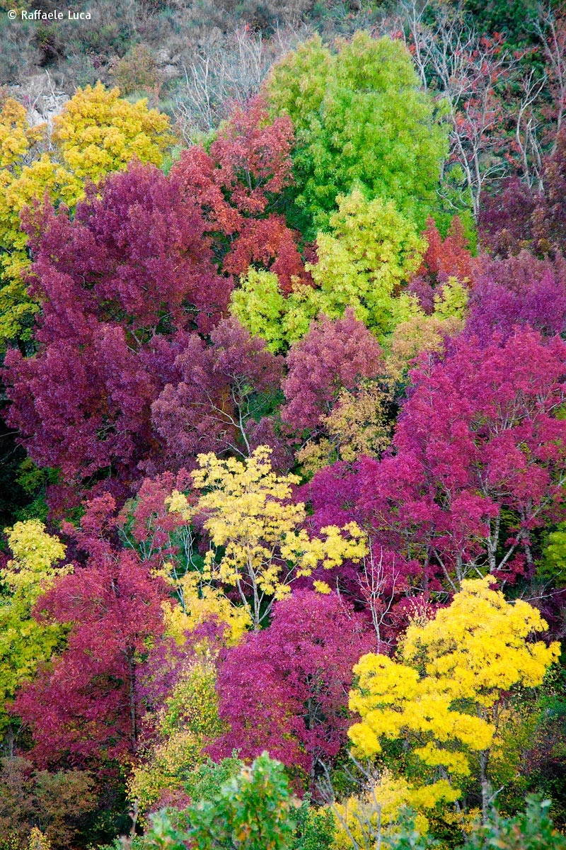 magic autumn - mountains Prenestini...