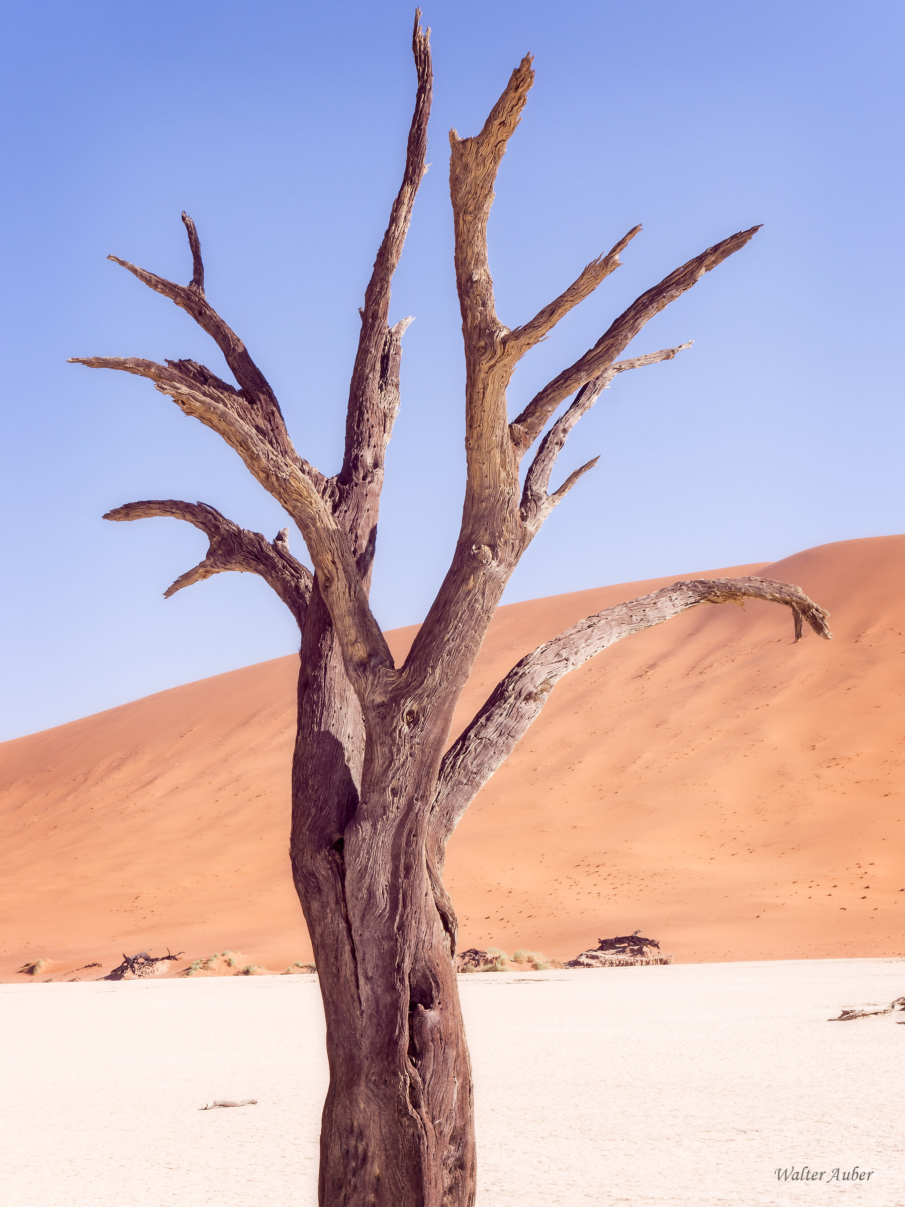 Namibia Desert...